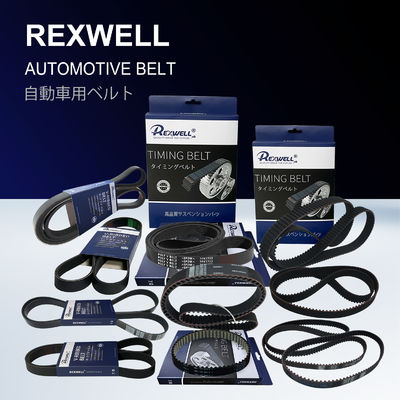 New Genuine 559002830 High Quality Engine Timing Chain Repair Kit & Accessories For GM Ford Chevrolet Opel Peugeot Citroen Cars